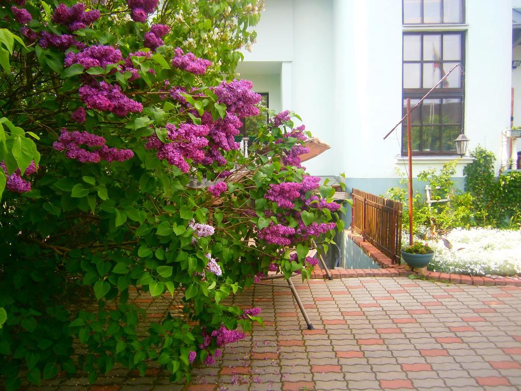 Nemunas Tour Residence Ringaudai Екстер'єр фото